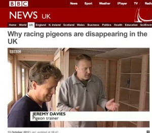 BBC Breakfast's Mike Bushell tries pigeon racing