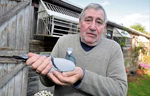 Surrey Advertiser 061115a