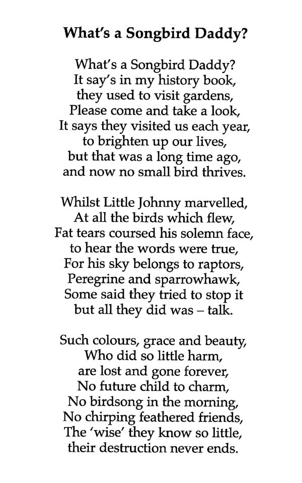 whats a songbird daddy