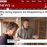 BBC Breakfast's Mike Bushell tries pigeon racing